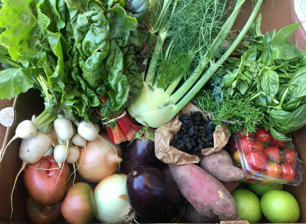 Exclusive Seasonal Farm Dinner - October 11th